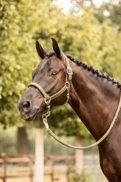 Online * Victoria Riimu Khaki