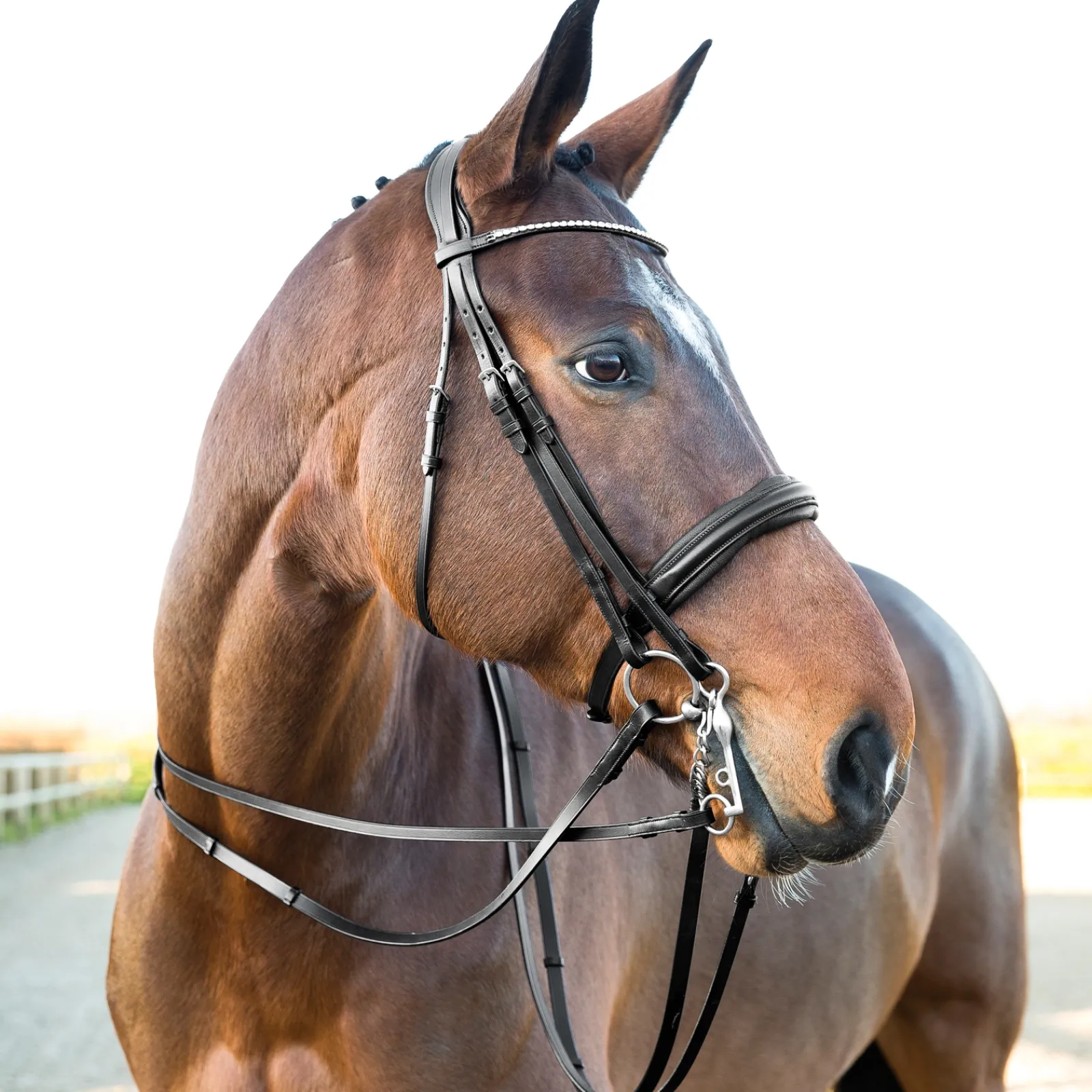 Outlet * Vienna Anatomiset Kankisuitset Musta