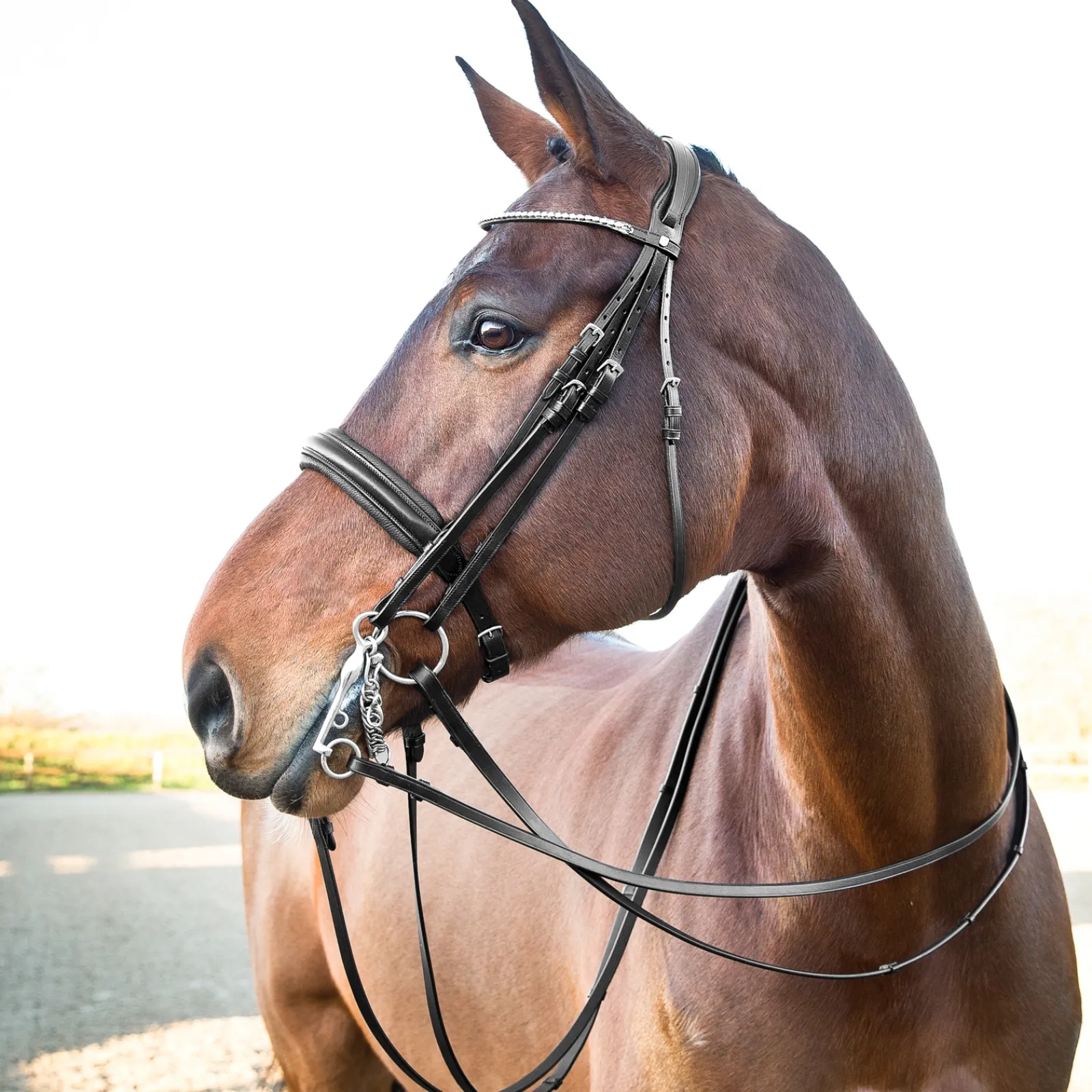 Outlet * Vienna Anatomiset Kankisuitset Musta