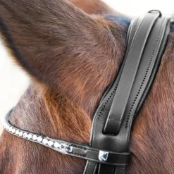 Outlet * Vienna Anatomiset Kankisuitset Musta