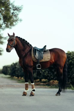 Outlet bvertigo B Vertigo Drew Koulusatulahuopa Cub Brown