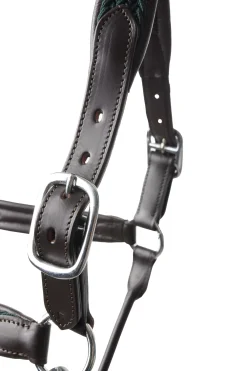 Best bvertigo B Vertigo Evolve Nahkariimu Jungle Green