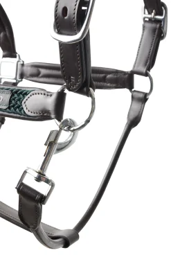 Best bvertigo B Vertigo Evolve Nahkariimu Jungle Green