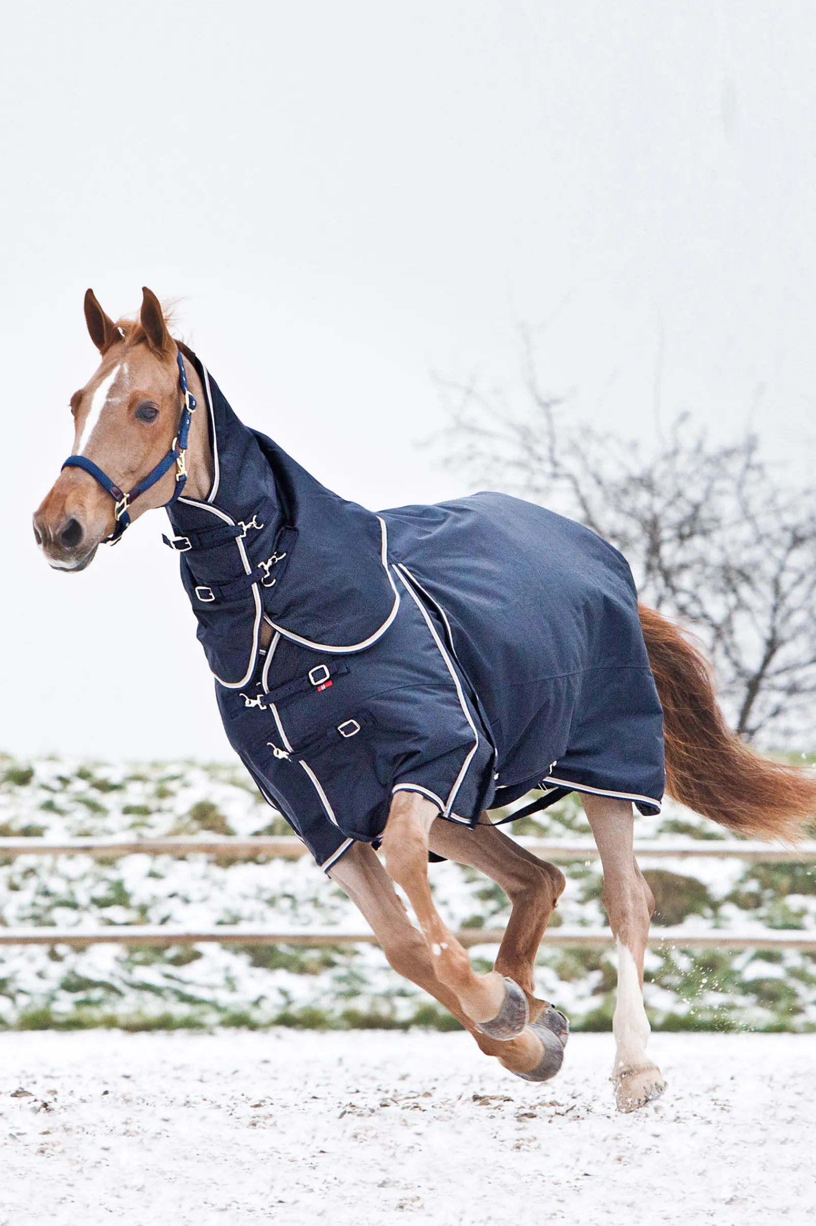 Online bvertigo B Vertigo Georgina -Ulkoloimi Irrotettavalla Kaulakappaleella, 250 G Dark Navy