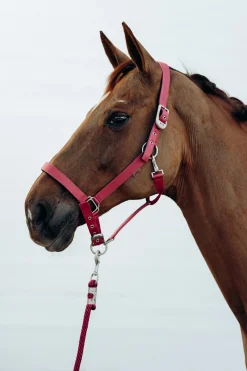 New bvertigo B Vertigo Hardwick Riimu Mineral Red