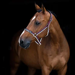 Sale bvertigo B Vertigo James Riimu Lollipop Pink