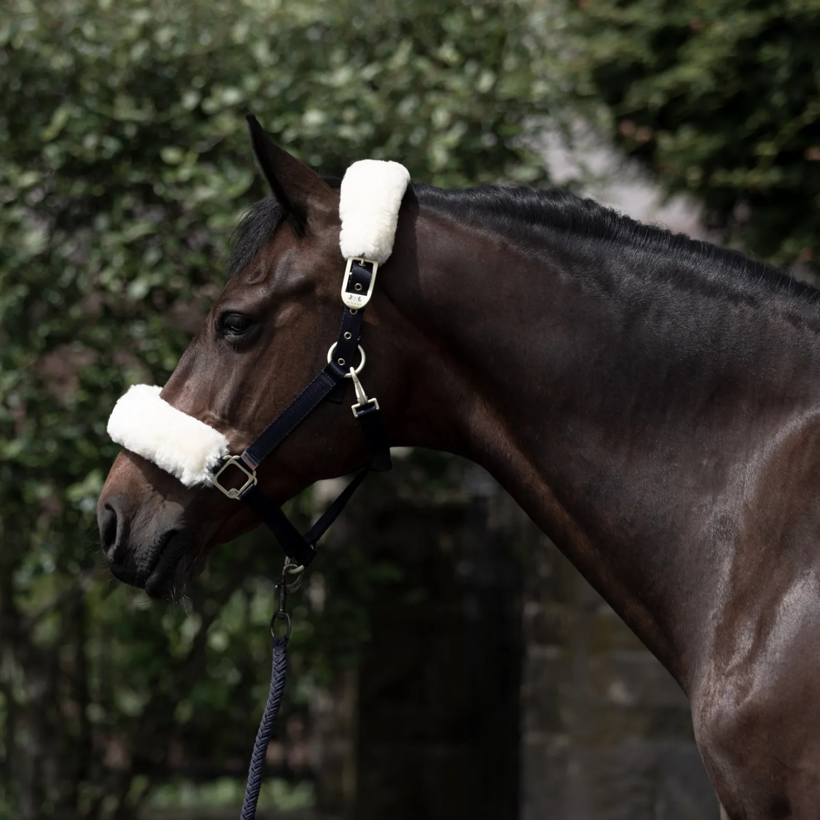 Clearance bvertigo B Vertigo Laurier Riimu Lampaankarvalla Dark Navy