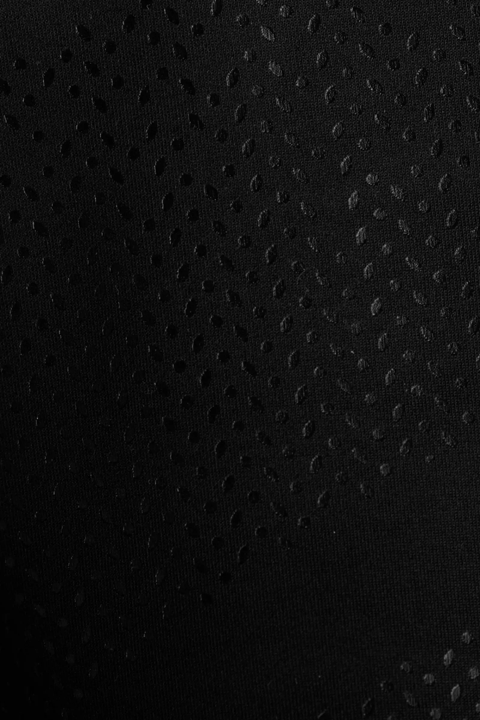 bvertigo B Vertigo Natasha Naisten KorkeaVyötaroiset Ratsastushousut Kokopaikoilla