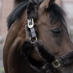 New bvertigo B Vertigo Tremblant Riimu Lampaankarvalla Ruskea