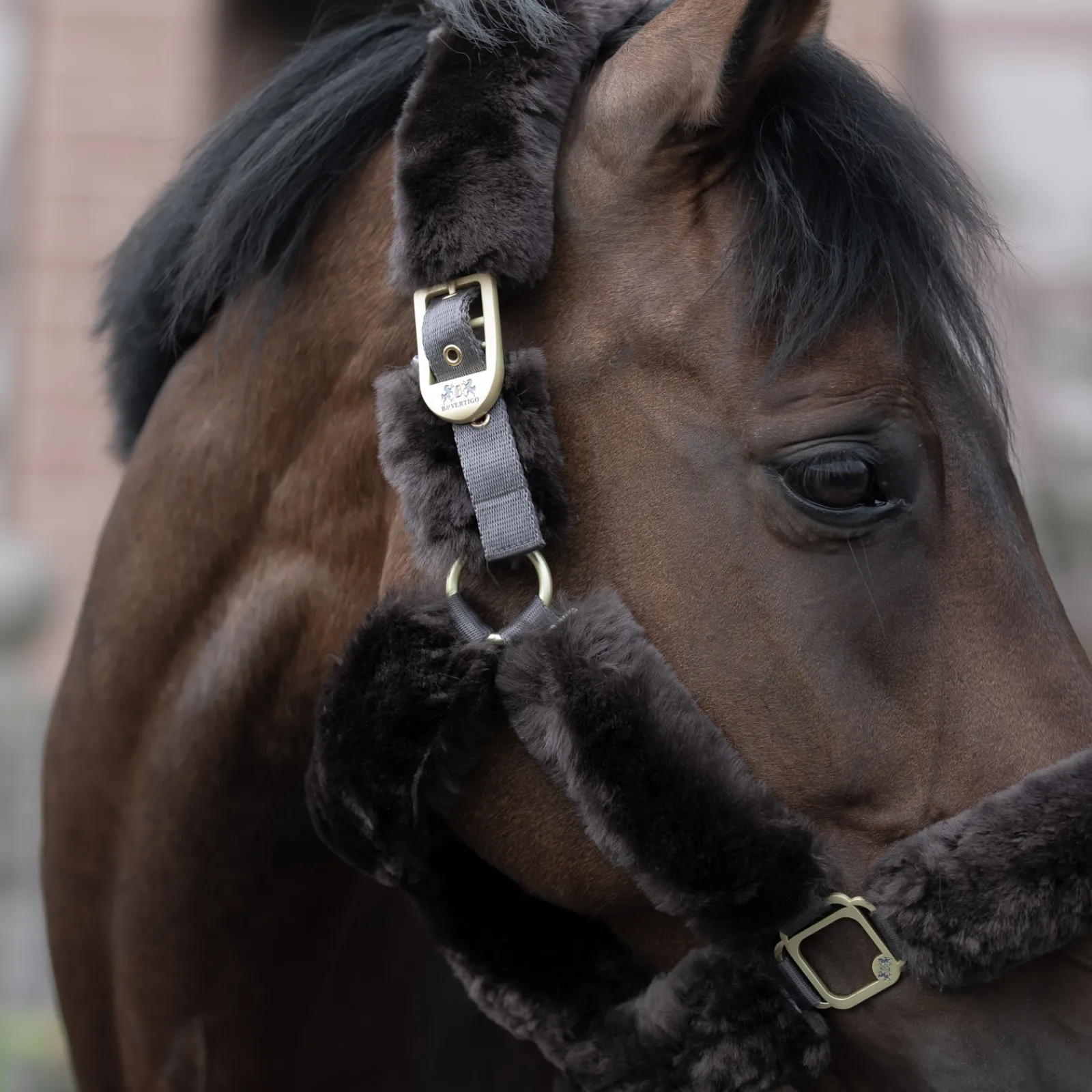 New bvertigo B Vertigo Tremblant Riimu Lampaankarvalla Ruskea