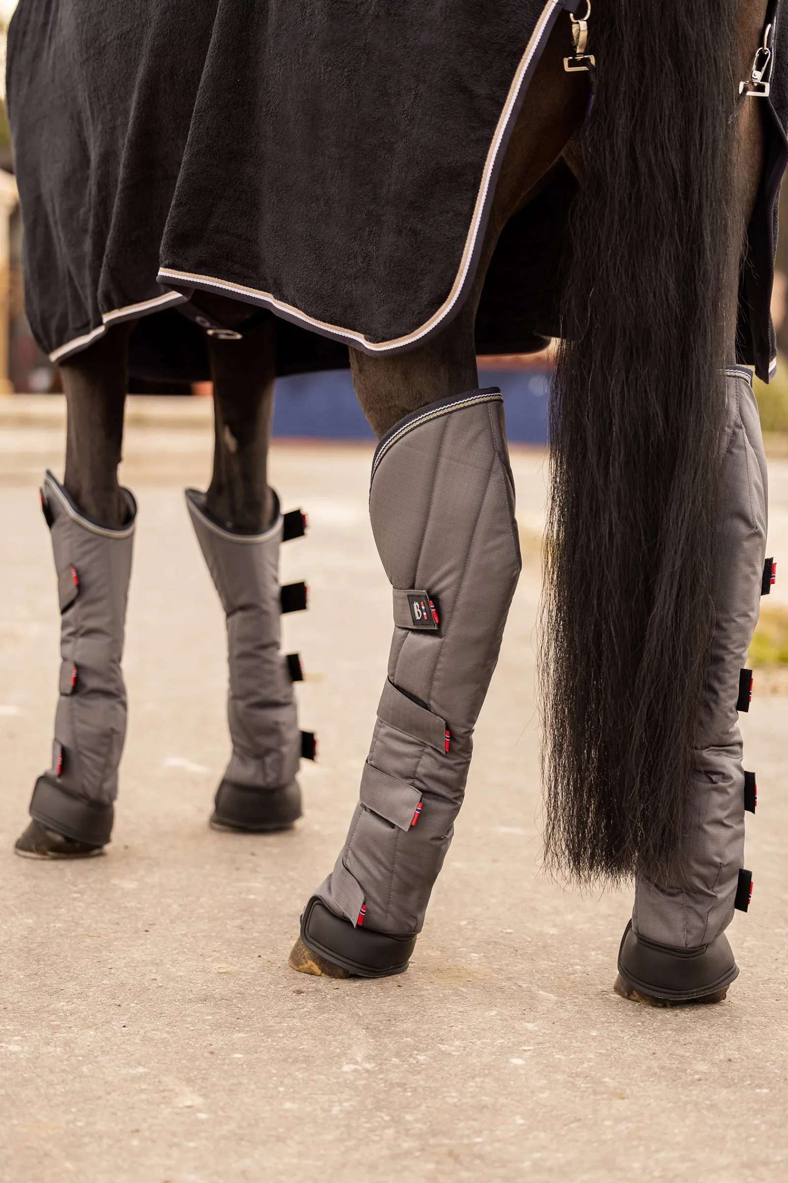 Online bvertigo B Vertigo Wellington Kuljetussuojat (4 Kpl:N Setti) Anthracite Dark Grey