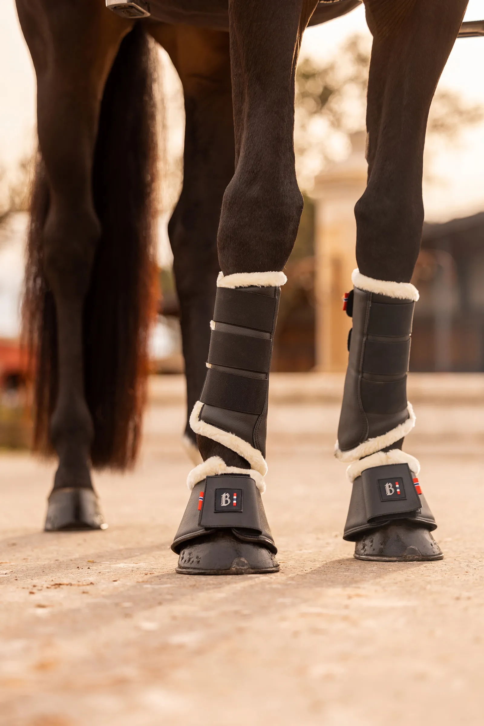 New bvertigo B Vertigo Wellington Putsit Black