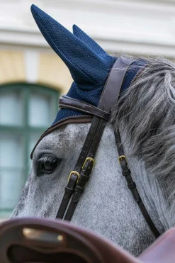 Hot backontrack Back On Track Airflow Korvahuppu Blue