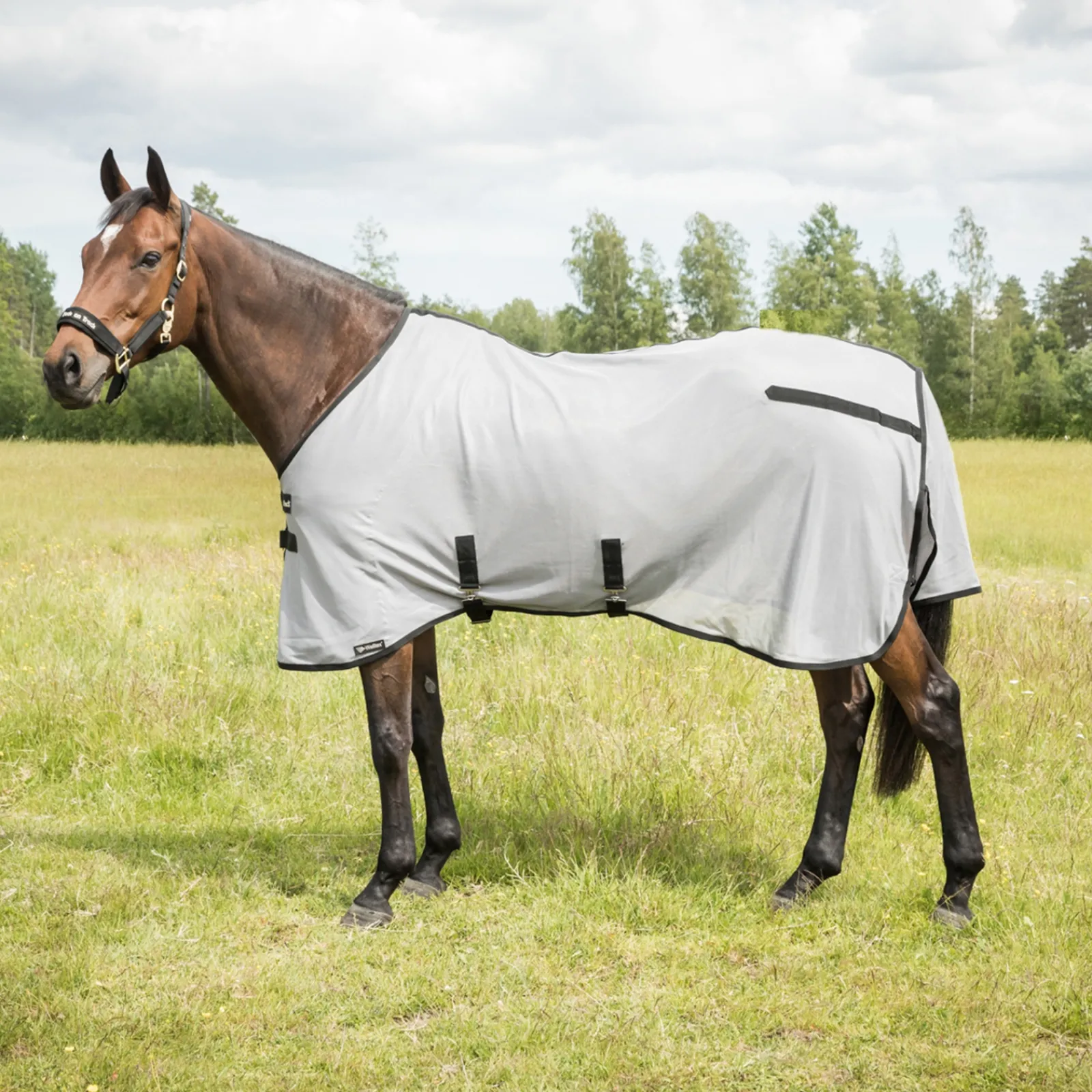 New backontrack Back On Track Butzer Karpasloimi Ilman Kaulakappaletta Silver Grey