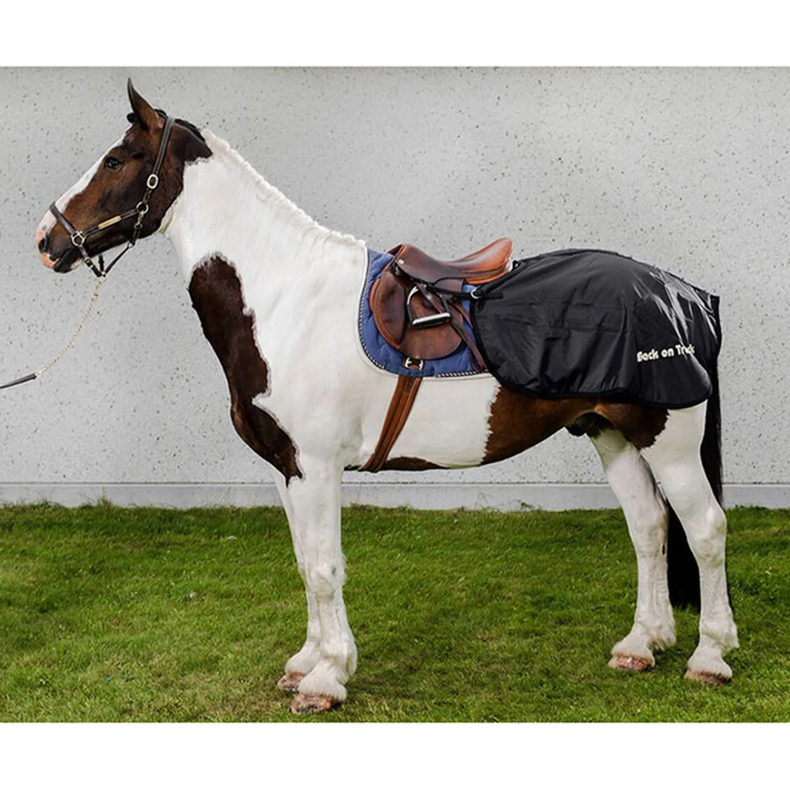 Sale backontrack Back On Track Lanneloimi Black