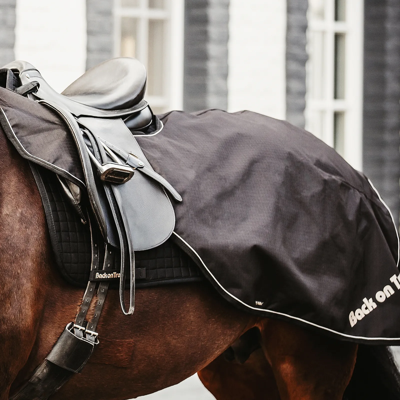 Clearance backontrack Back On Track Sammy Ratsastusloimi Black