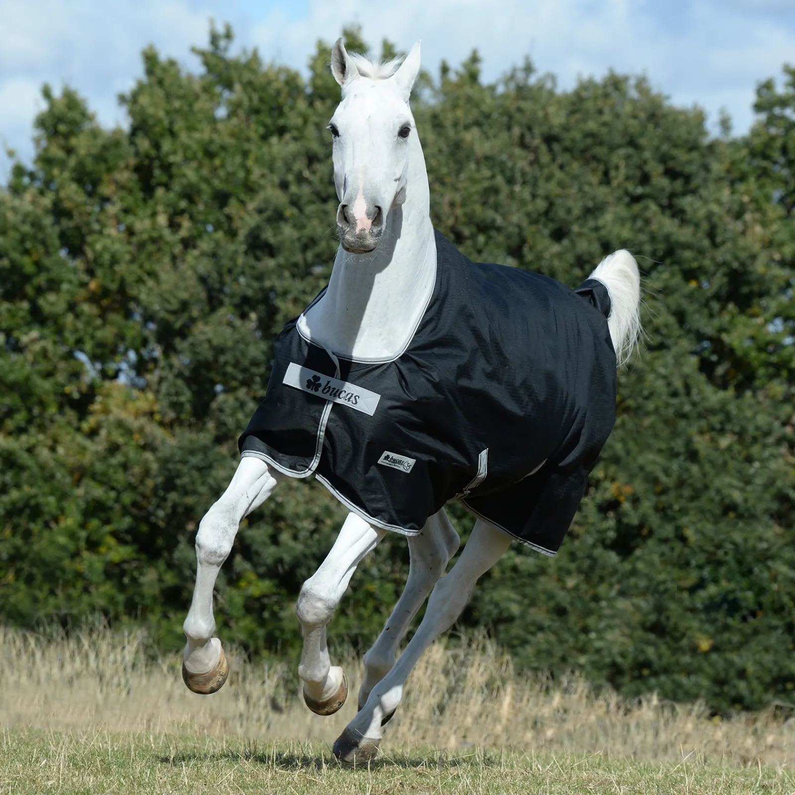 Best bucas Anniversary Light Sf Ulkoloimi, 50 G Black/Silver