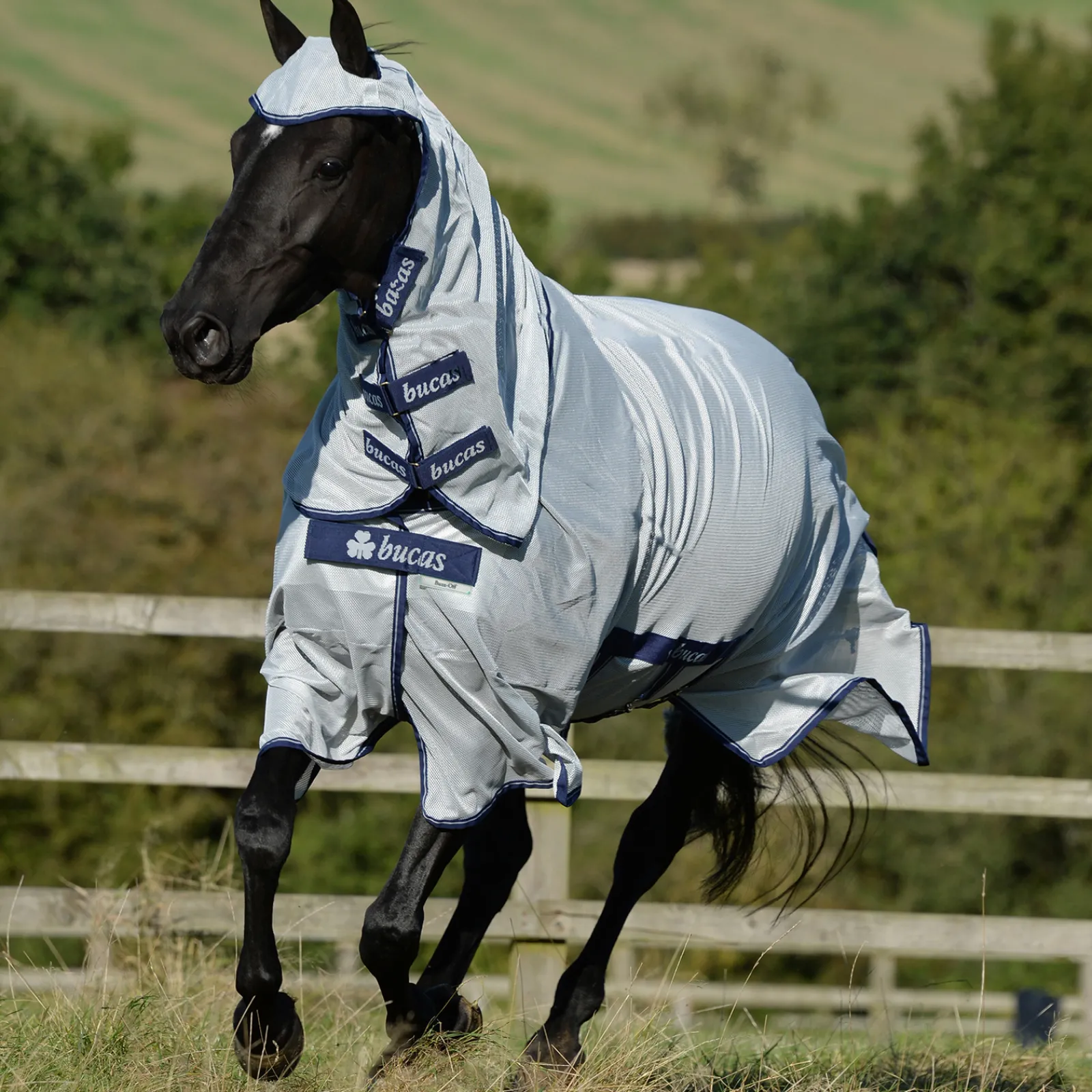 Online bucas Buzz-Off Karpasloimi Kiintealla Kaulakappaleella Silver