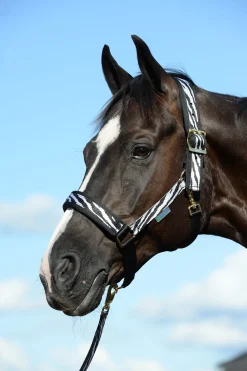 Sale bucas Comfort -Riimu Black/White