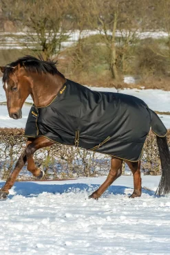 Clearance bucas Irish Ulkoloimi, 150 G Black/Gold