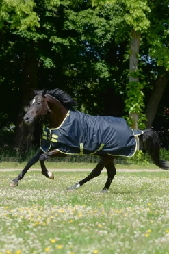 Online bucas Oasis Ulkoloimi Irrotettavalla Kaulakappaleella, 100 G Phantom Dark Grey/ Citronelle