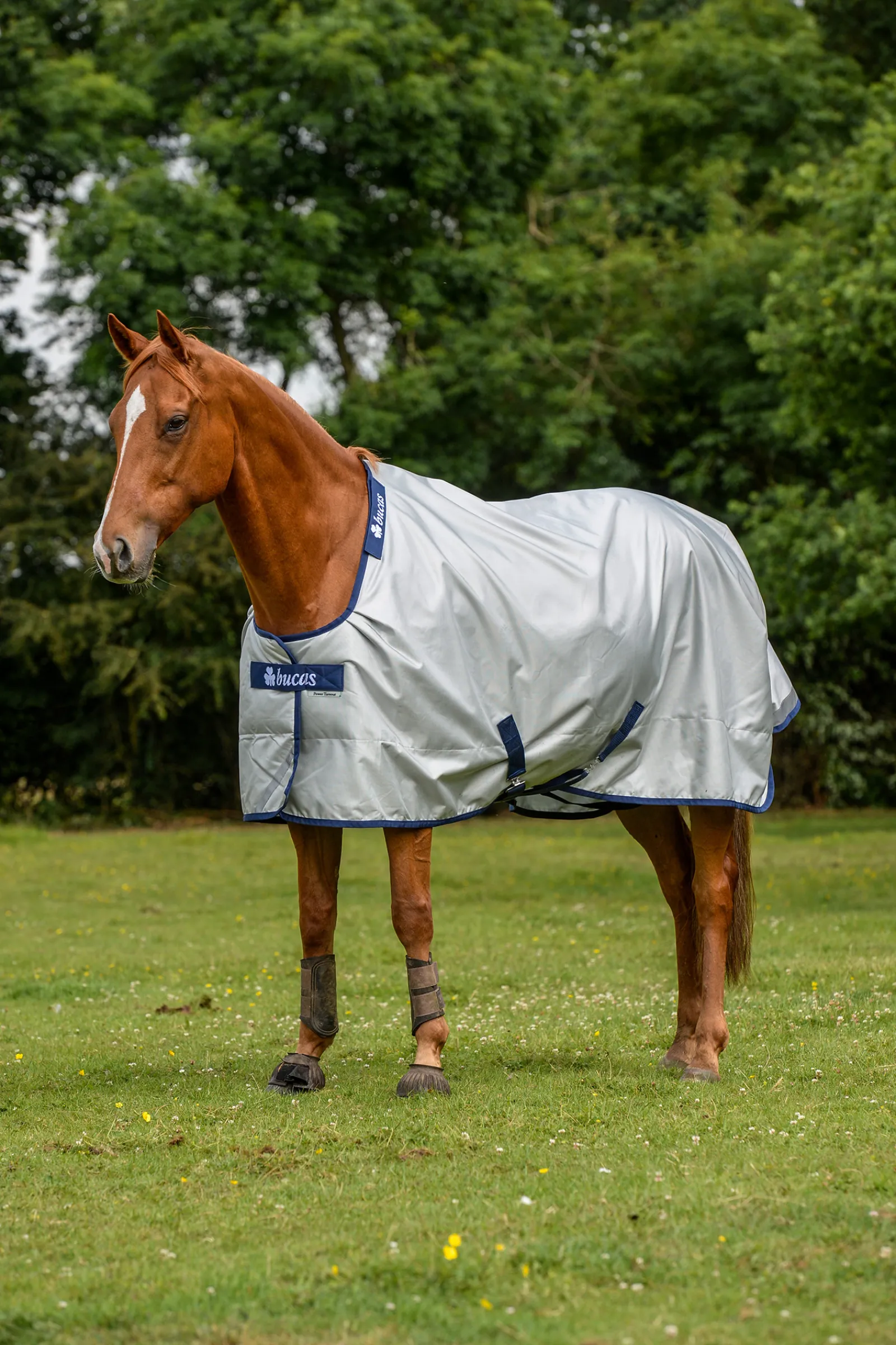 Best bucas Power Big Neck -Ulkoloimi Silver/Dark Blue