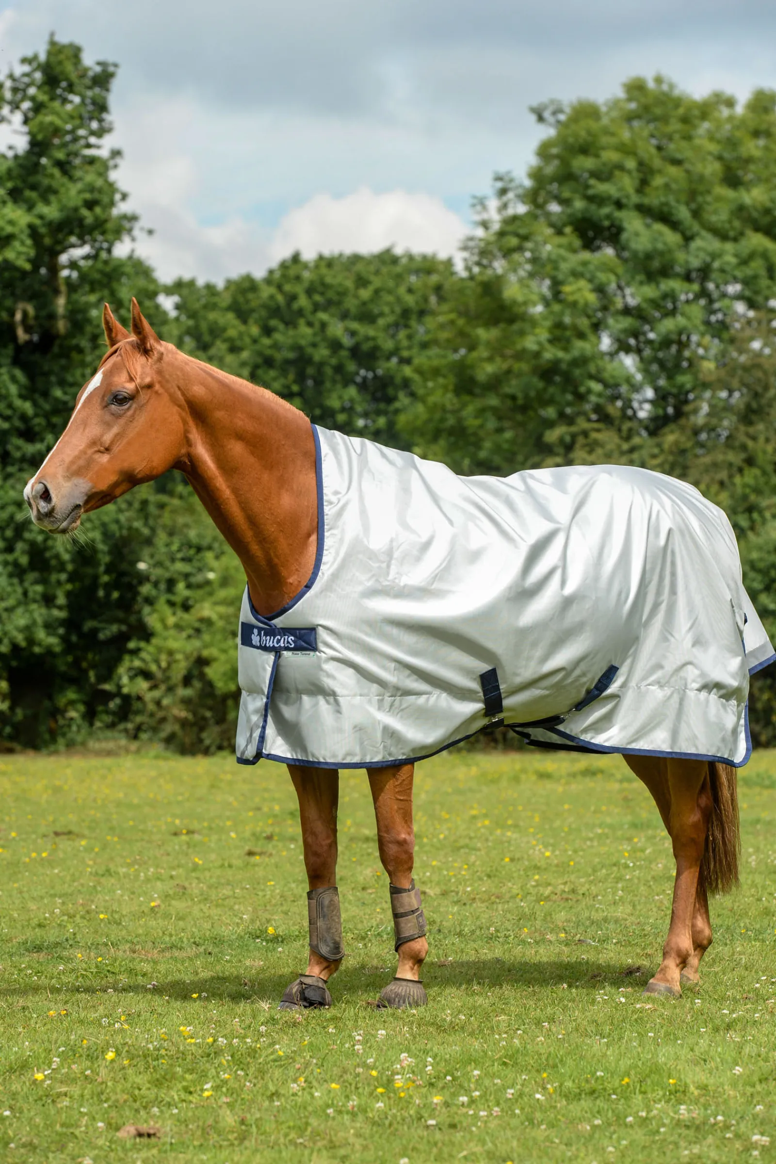 Clearance bucas Power Ulkoloimi, Antibakteerinen, Stay-Dry-Vuoraus Silver/Dark Blue