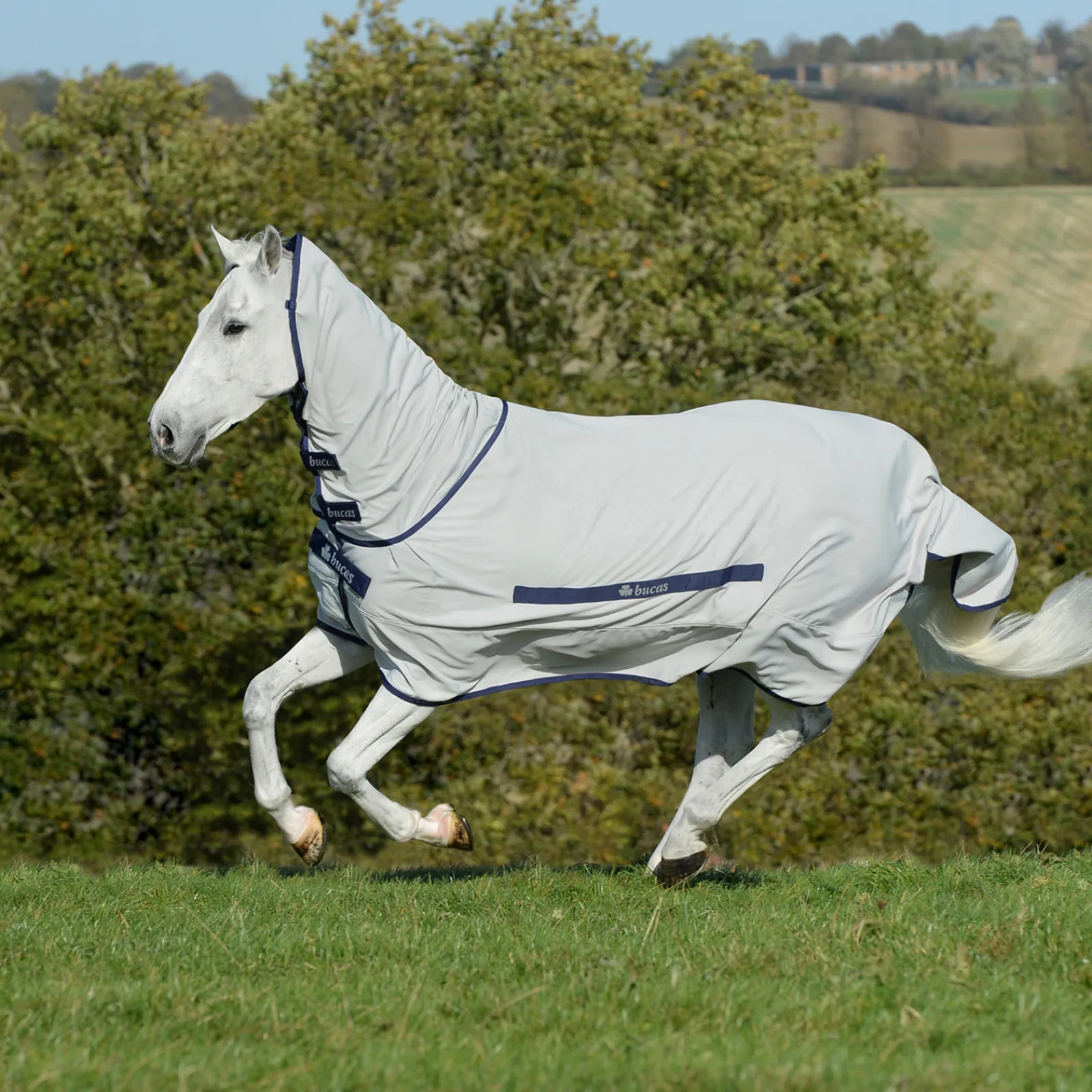 Outlet bucas Sweet-Itch Light Ihottumaloimi Silver