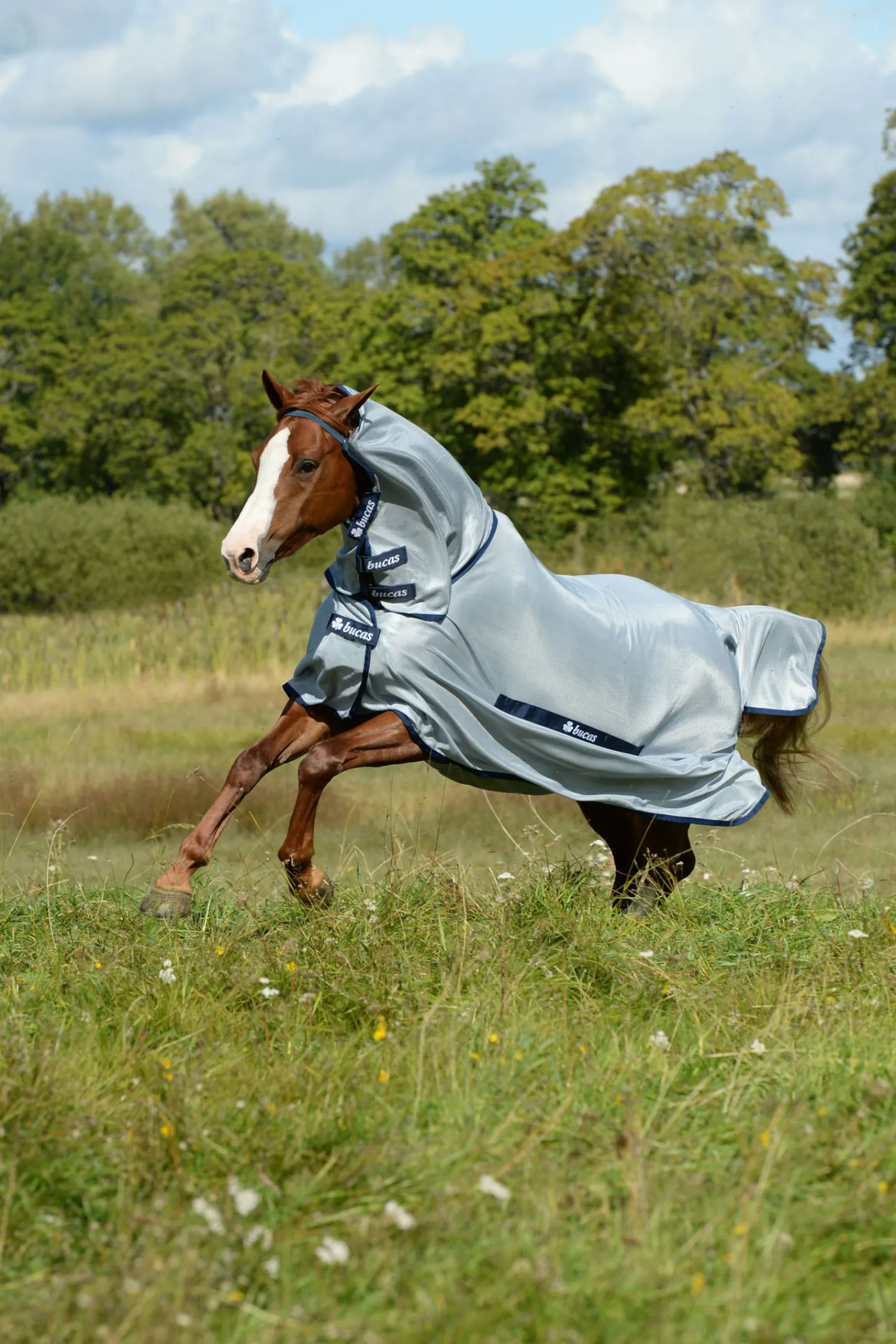 Best bucas Buzz-Off Loimi Kaulakappaleella Silver/Blue