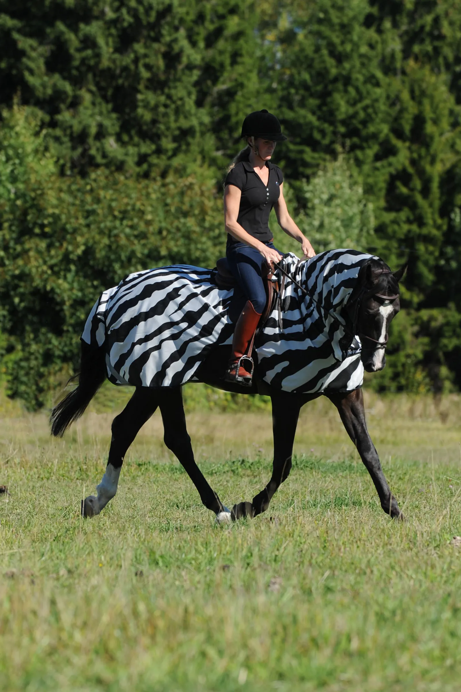 Sale bucas Buzz-Off Zebra Ratsastusloimi Black/White