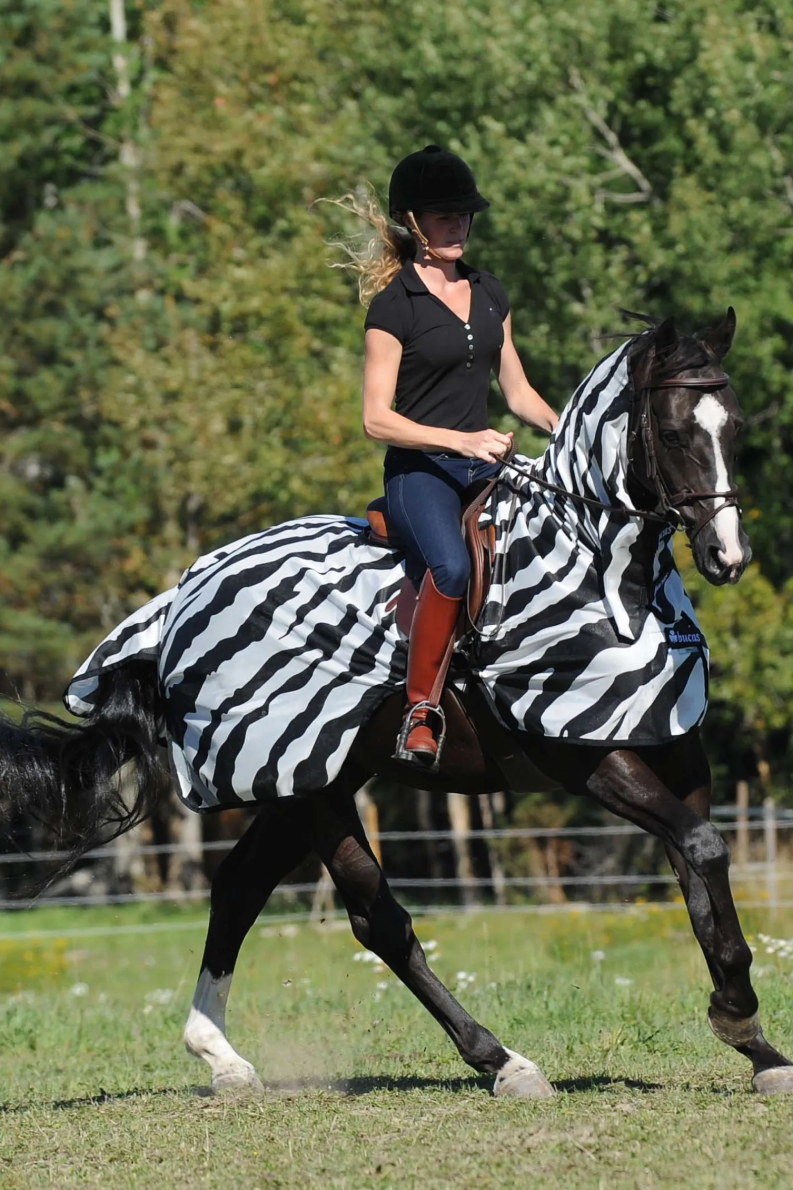 Sale bucas Buzz-Off Zebra Ratsastusloimi Black/White