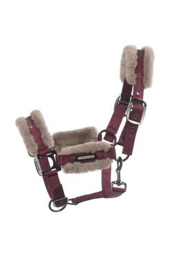 cavallo Cavajany -Riimu Dark Red