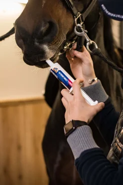 Clearance cavalor An Energy Boost (6 Syringes X 60 G (47 Ml)) Ei Maaritelty