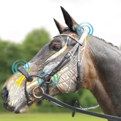 Online collegiate Comfitec Patent -Suitset Black