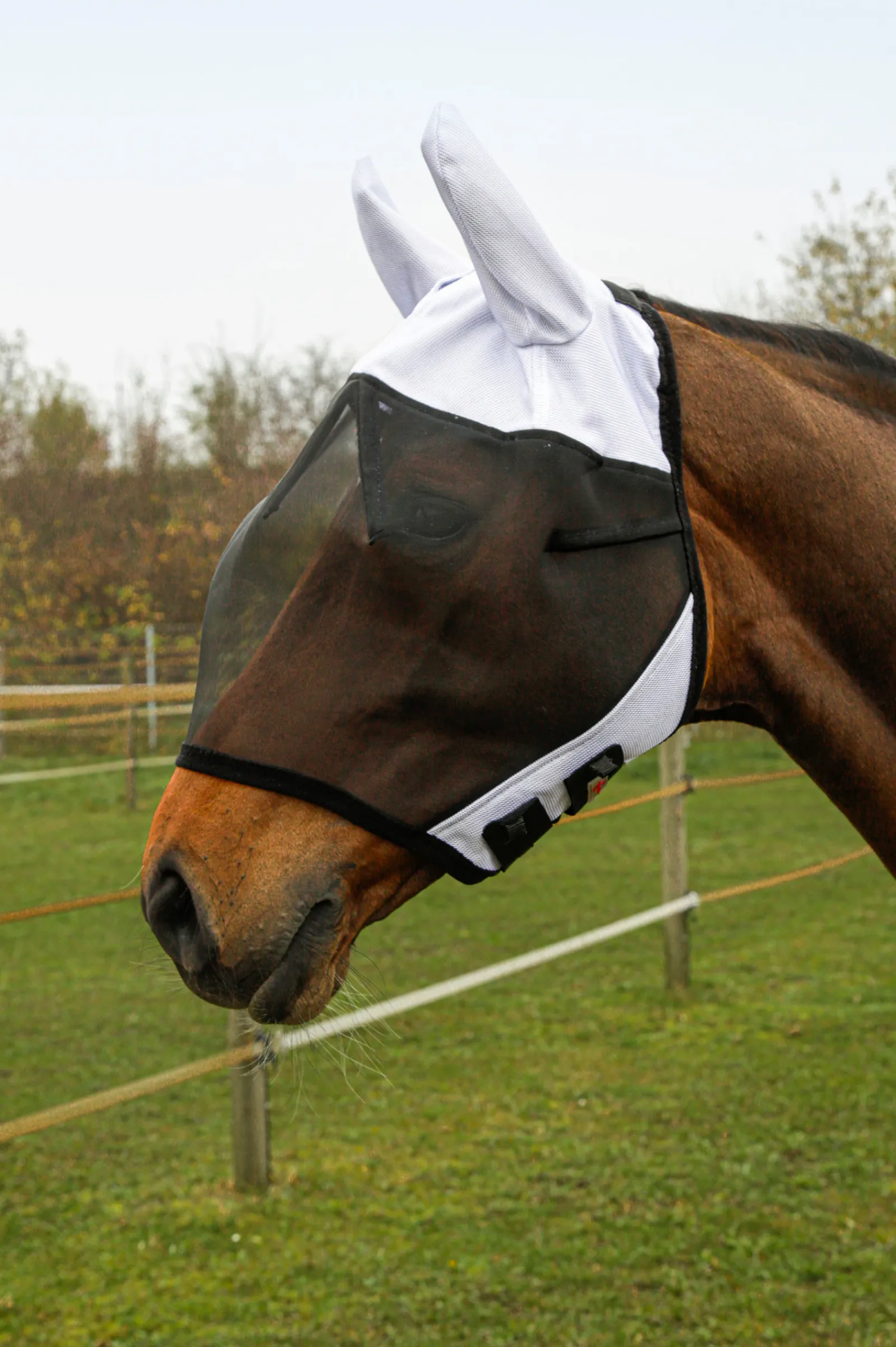 Sale covalliero Superfly Karpasmaski Korvilla Wh/Ab