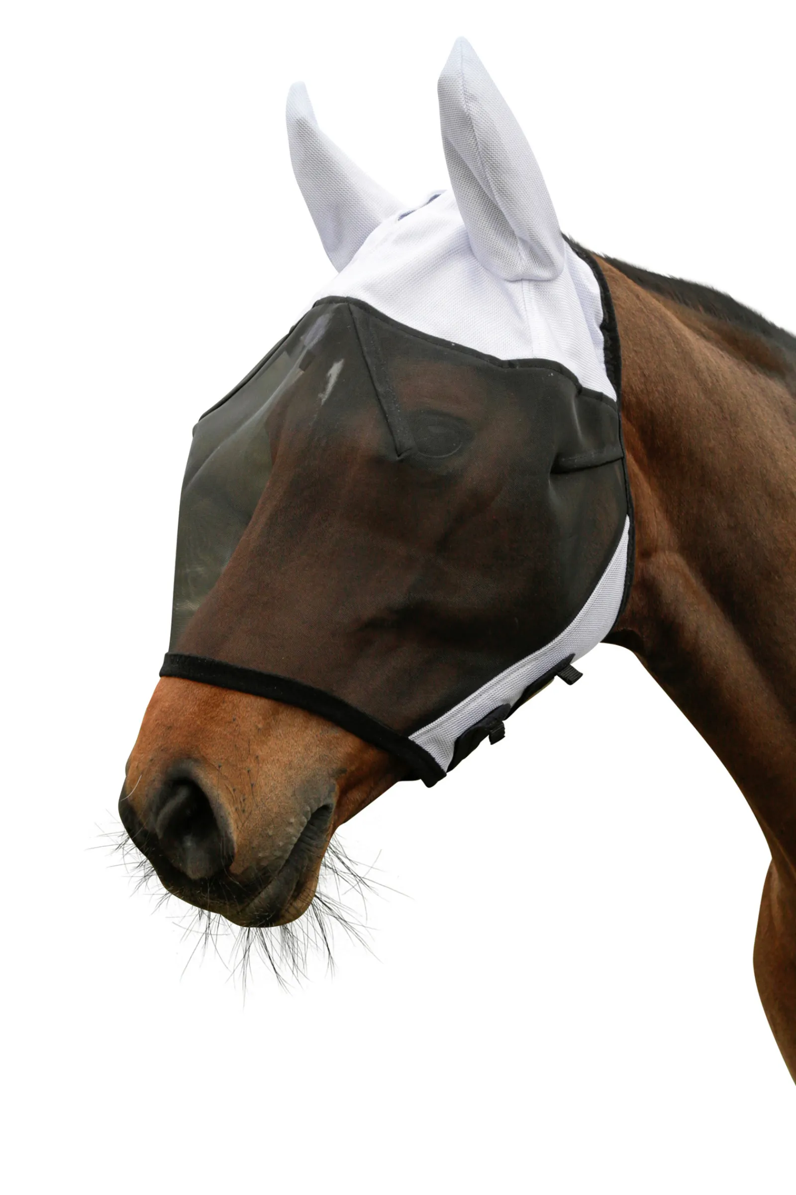 Sale covalliero Superfly Karpasmaski Korvilla Wh/Ab