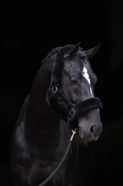 Hot covalliero Supersoft Riimu Black