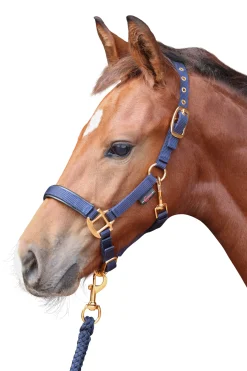 Outlet covalliero Topline Varsariimu Db/Ab