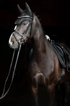 Online eskadron Essence 22/23 Glitter Mesh Sport Korvahuppu Olive Drab