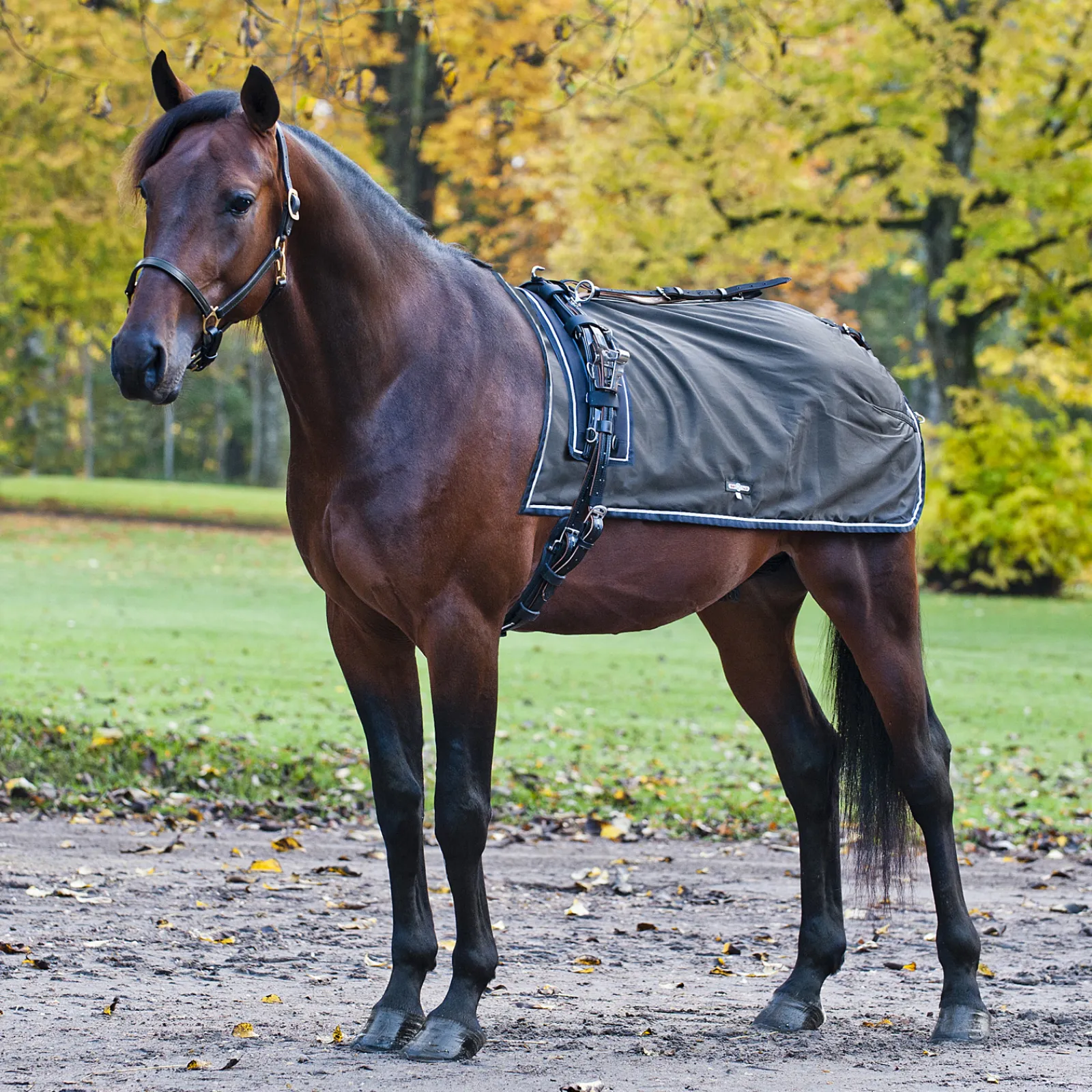 Online finntack Pro Endura Ajoloimi Fleecevuorella Black/Black