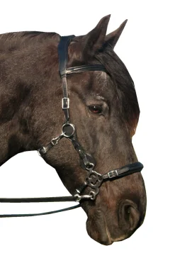 fra Calli Hackamore-Suitset (System 2) Poskihihnoilla, Mukana Varret Ja Ohjat Black