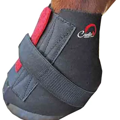 Hot cavallohorseriderfr F.R.A. Cavallo Saarystimet, Bfb Black