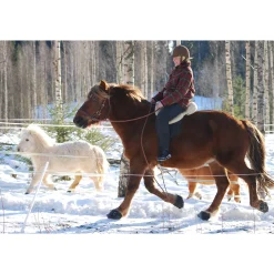 Outlet cavallohorseriderfr F.R.A. Cavallo Simple Slim Bootsit Black