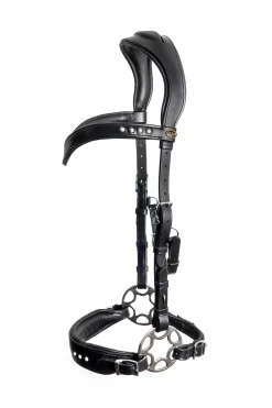 Hot fra F.R.A. Glory Hackamore Suitset (System 2), Mustat Black