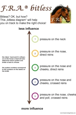 New fra Rebecca Sidepull-Suitset (System 3) Swarovski-Koristeilla, Mukana Ohjat Black