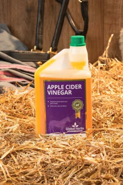 Online globalherbs Global Herbs Apple Cider Vinegar, 1 L - Equine Ei Maaritelty
