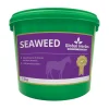 Clearance globalherbs Global Herbs Seaweed, 1,5 Kg Ei Maaritelty