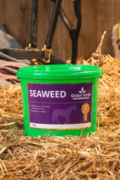 Clearance globalherbs Global Herbs Seaweed, 1,5 Kg Ei Maaritelty