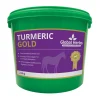 Online globalherbs Global Herbs Turmeric Gold, 2,8 Kg. Green