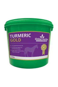 Online globalherbs Global Herbs Turmeric Gold, 2,8 Kg. Green
